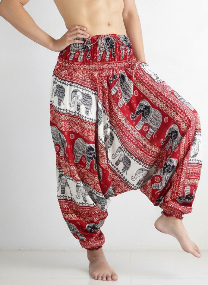 Aladdin Man Pants Tusk
