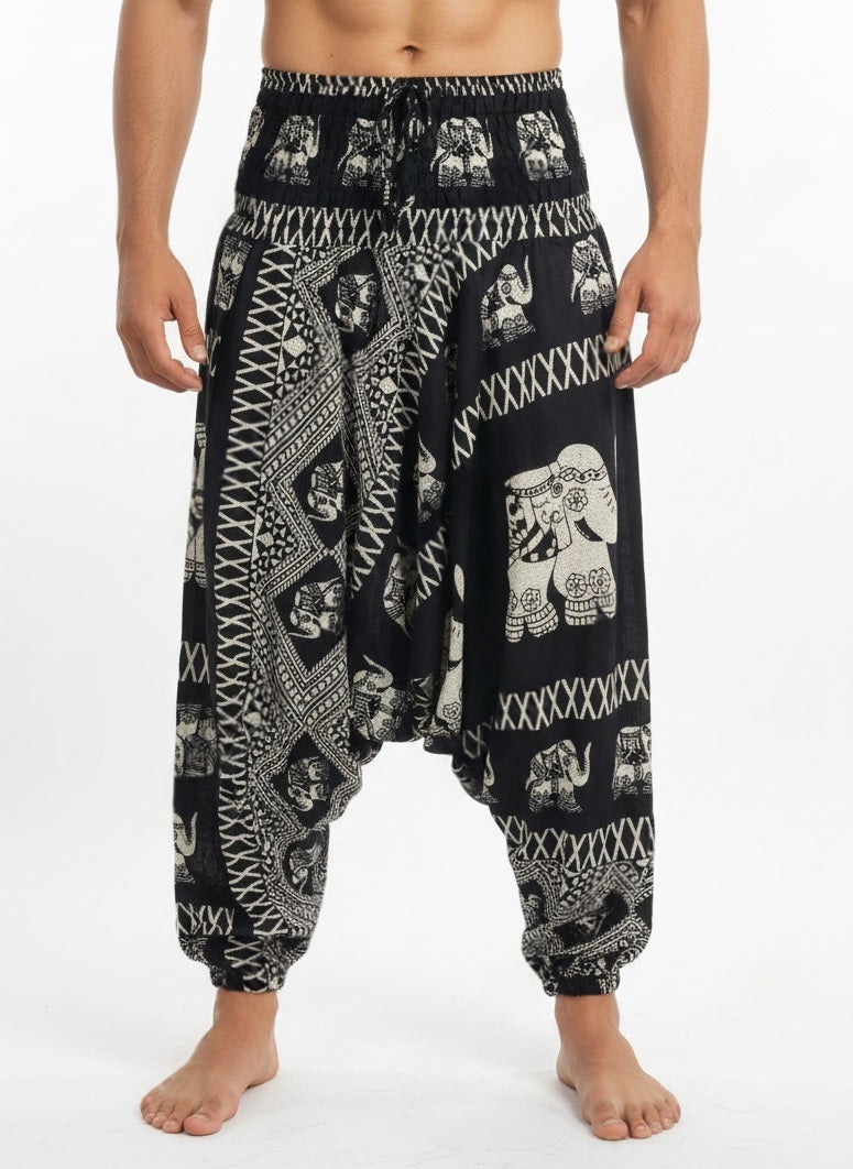 Aladdin Man Pants Chang