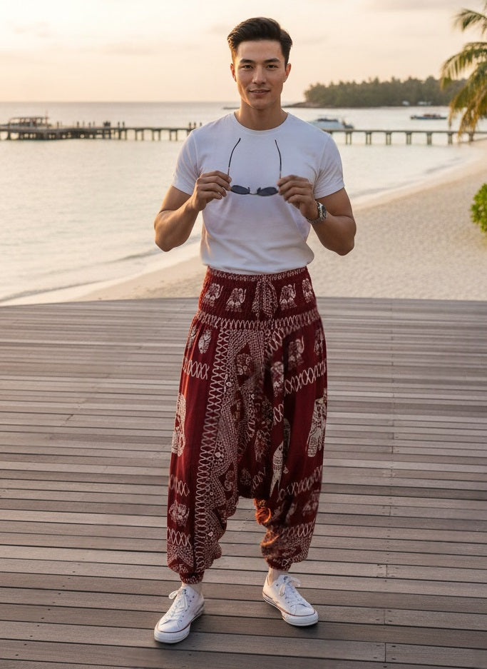 Aladdin Man Pants Chang