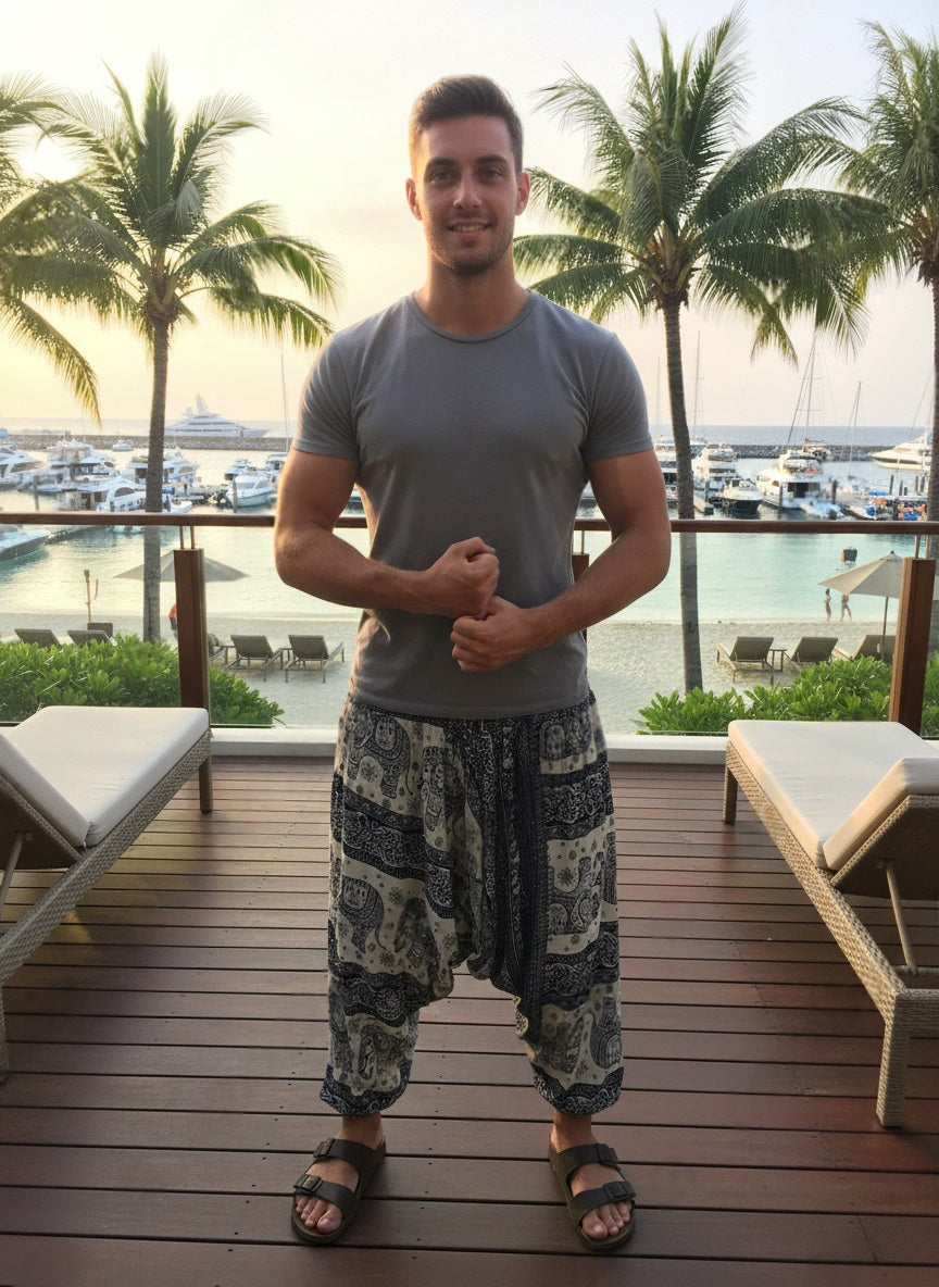 Aladdin Man Pants Elephant