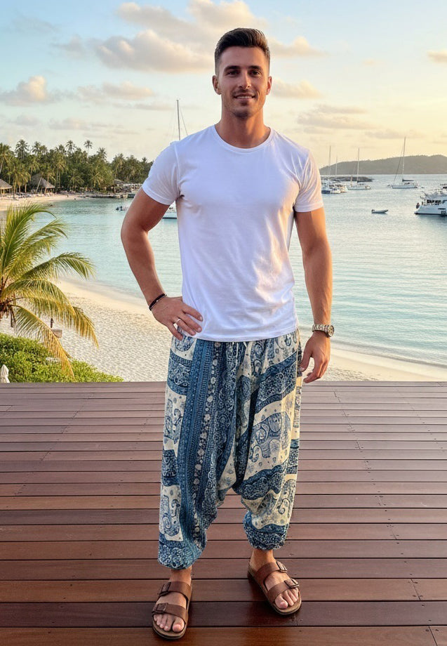 Aladdin Man Pants Elephant