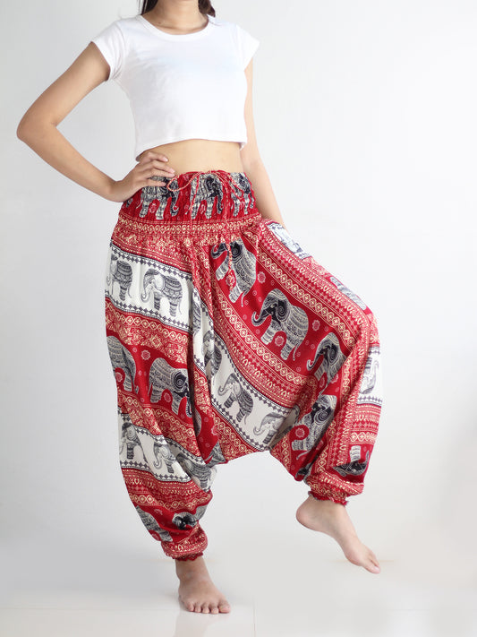 Aladdin Pants Nan